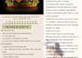 write and create a professional design for your cook book or recipe book